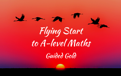 Flying Start to A-level Maths: Guided Gold